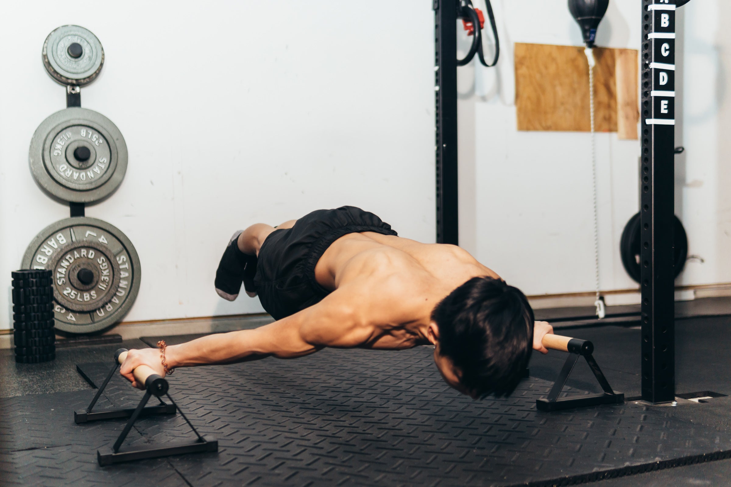 Vsthenics Parallettes - Low