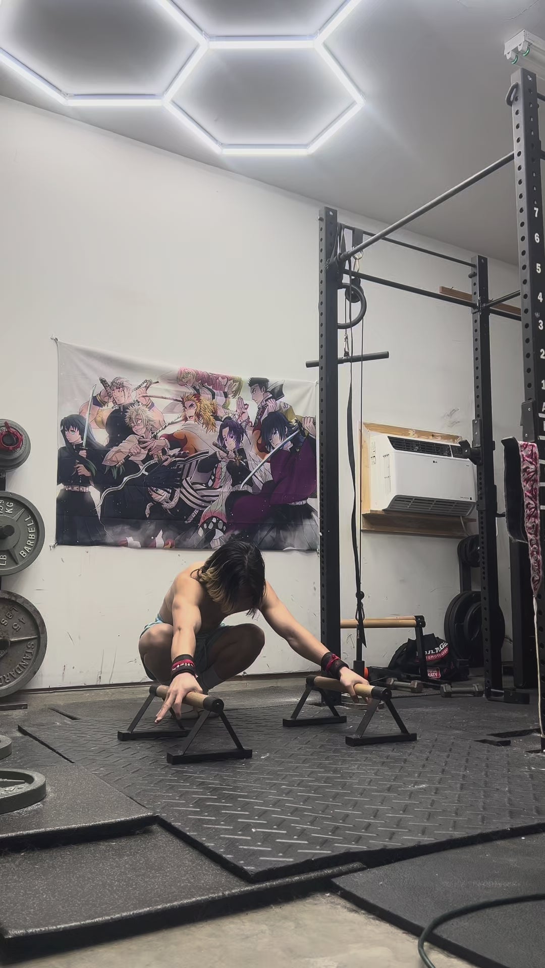 Vsthenics Parallettes - Low